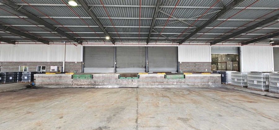 To Let commercial Property for Rent in Parow Industrial Western Cape